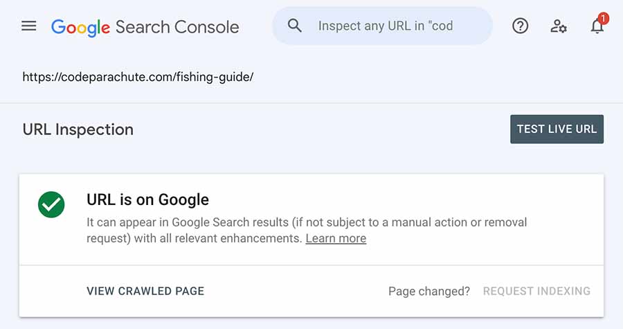 Example of url on Google in Google Search Console.